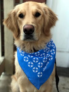 Lifesaver Pet Bandana